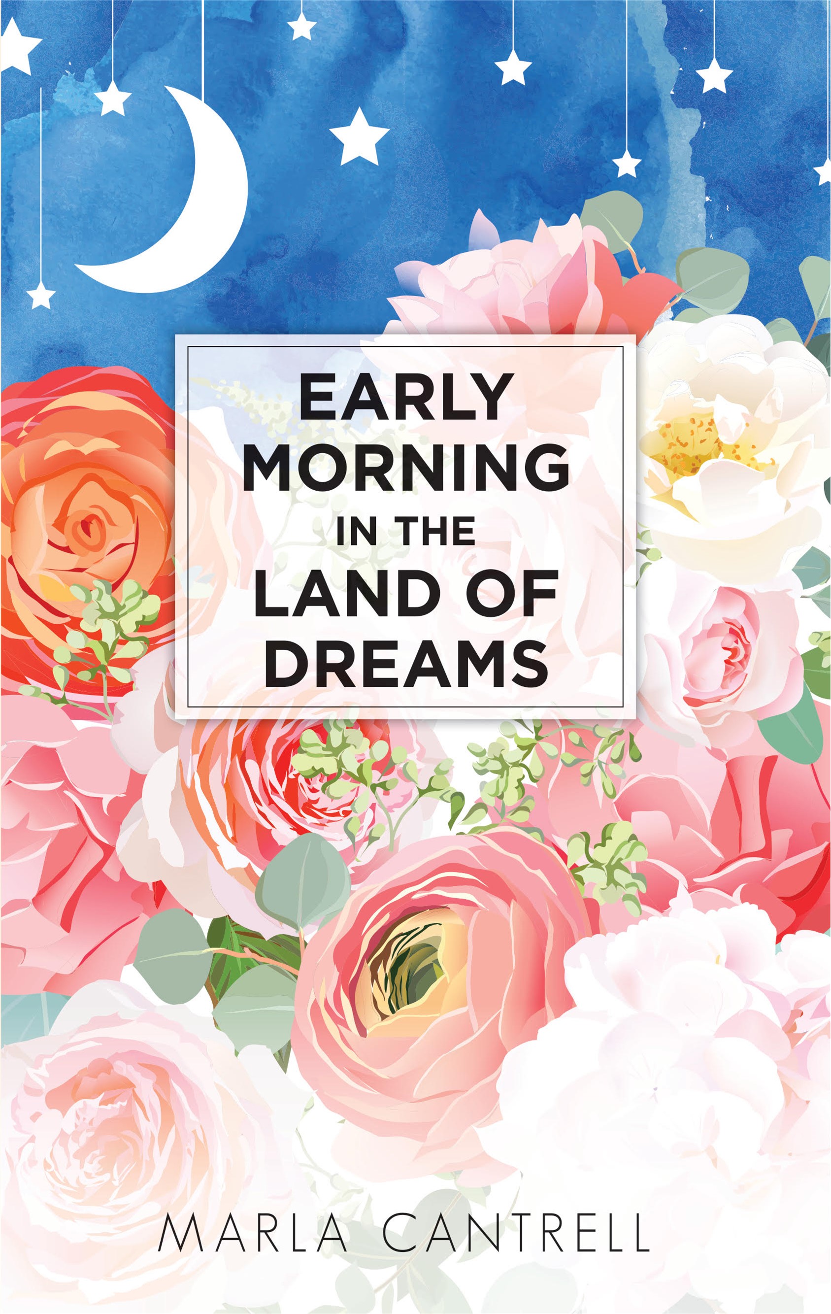 Early Morning in the Land of Dreams—EBOOK COVER FINAL (1)